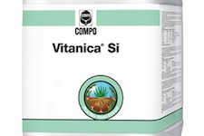 Fertilizante para proteger su olivar de la sequía